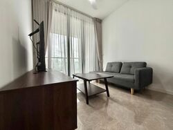Irwell Hill Residences (D9), Apartment #542110311